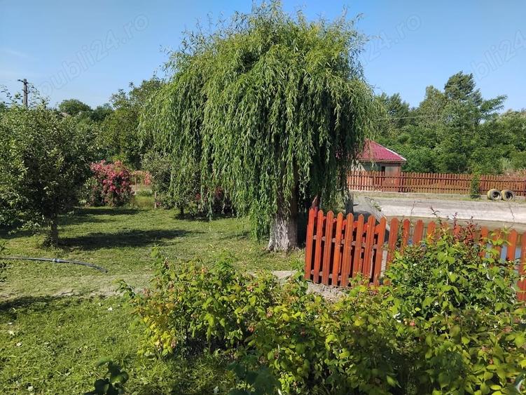 Casă în Oniceni