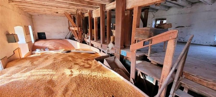 Teren Construcții intravilan de 2367 mp, în Apoldu de Jos
