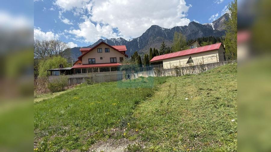Teren Construcții intravilan de 2001 mp, în Bușteni