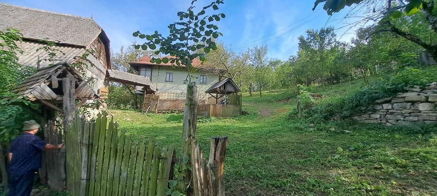 Teren si constructii situate in intravilan 7.780 mp, comuna Bertea, sat Lutu Rosu, Prahova - 3