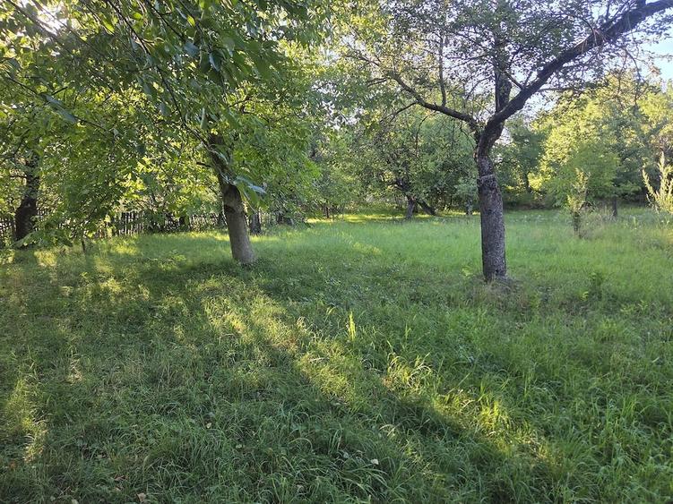 Casă cu Teren 3435 Mp în Josenii Bârgăului