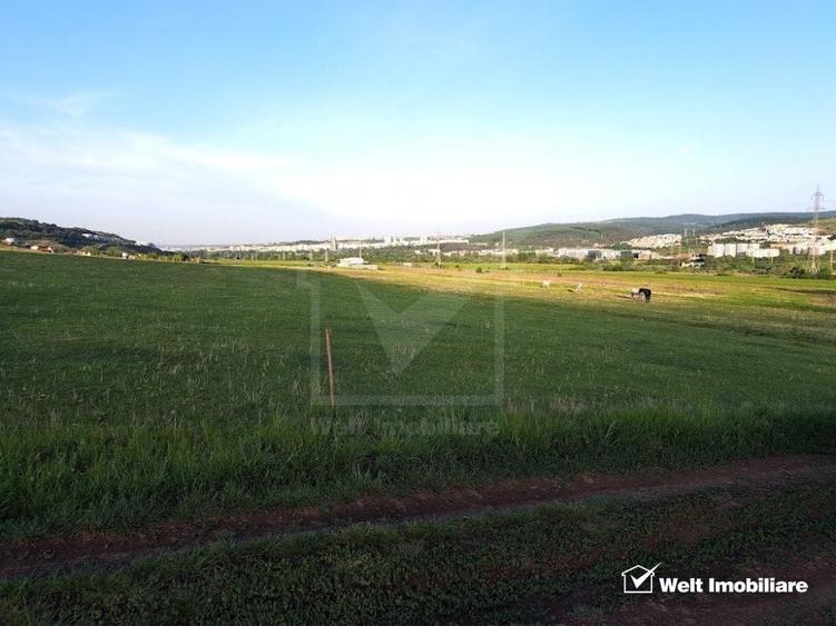 Teren agricol extravilan de 2900 mp, în Florești