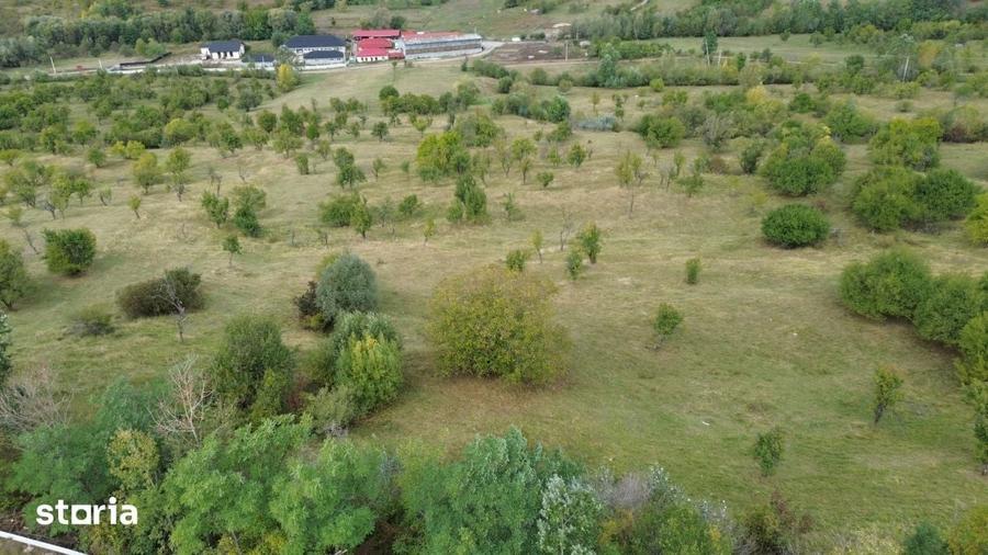 Teren de 8043 mp, în Berevoești