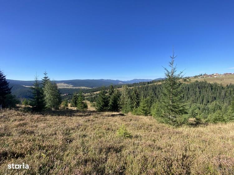 Teren intravilan 4.930 mp | Dealu Botii | Panorama superba - 5