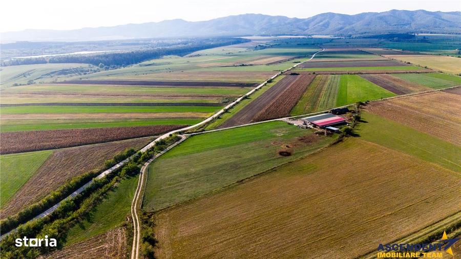 Teren de 18000 mp, în Feldioara