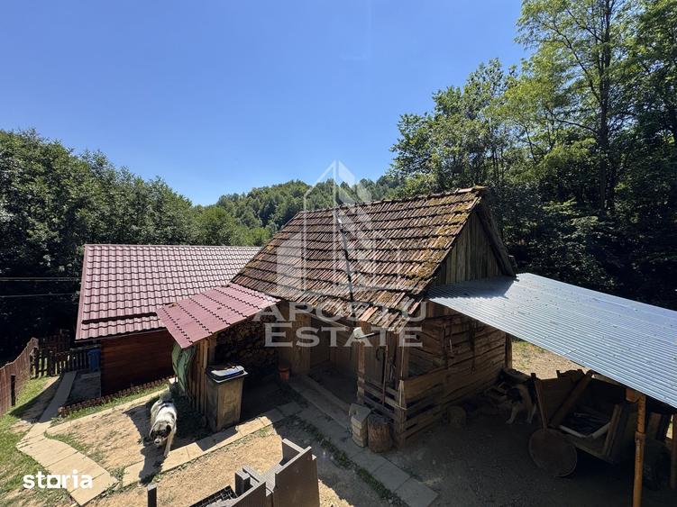 Casă cu 5 camere cu Teren 771 Mp în Ribița