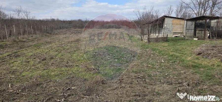 Casă cu 4 camere cu Teren 614 Mp în Stânca (Ștefănești)