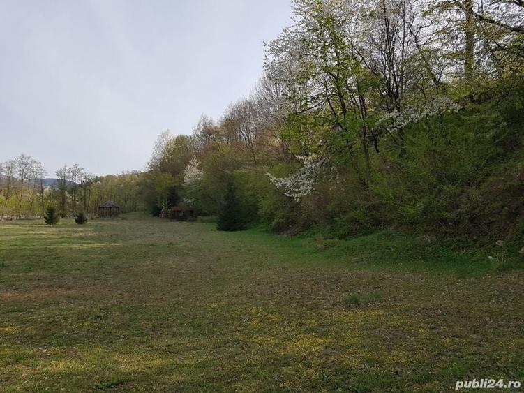 Teren de 9000 mp, în Pângărați