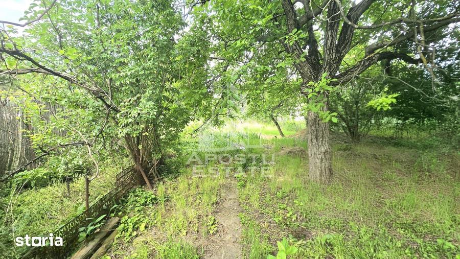 Casă cu 3 camere nedecomandat cu Teren 698 Mp în Pârneava