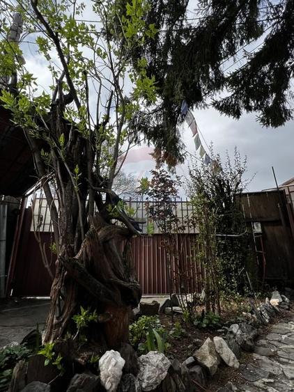De vanzare casă cu parcare în curte | Chibrit, 1 Mai | 129 mp teren - 21