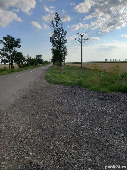 Teren de 12000 mp, în Țintești