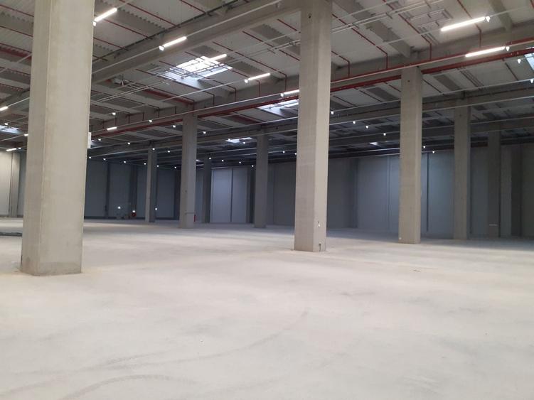 Spațiu industrial, de 3,000 mp, în Dragomirești-Vale
