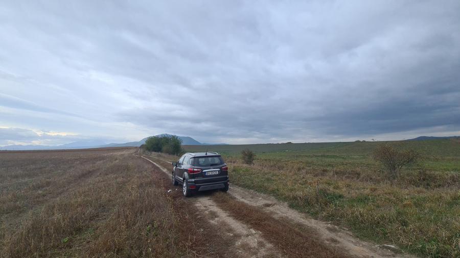 Teren agricol extravilan de 48100 mp, în Hălchiu