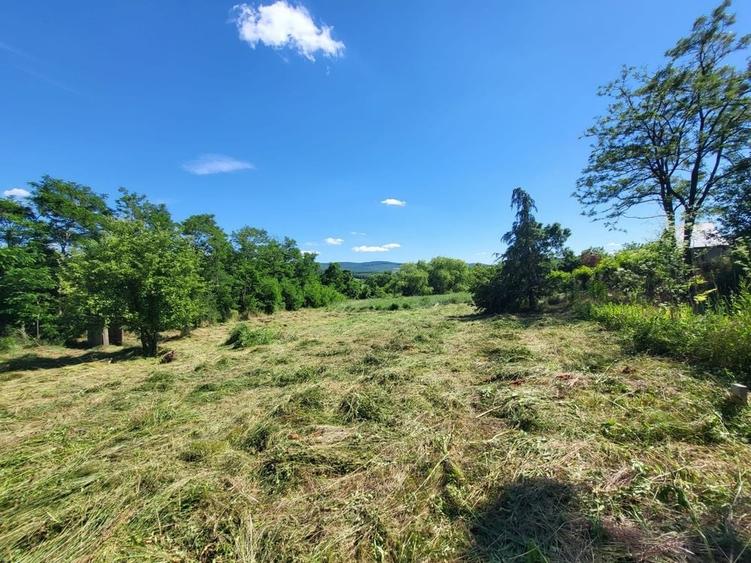 Teren de 771 mp, în Ciurea