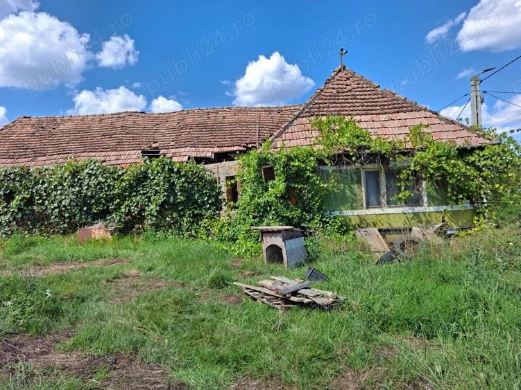 Teren de 3500 mp, în Sângeorzu Nou