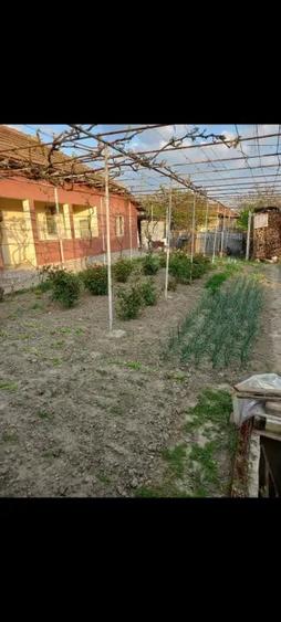 Casă cu 3 camere în Central