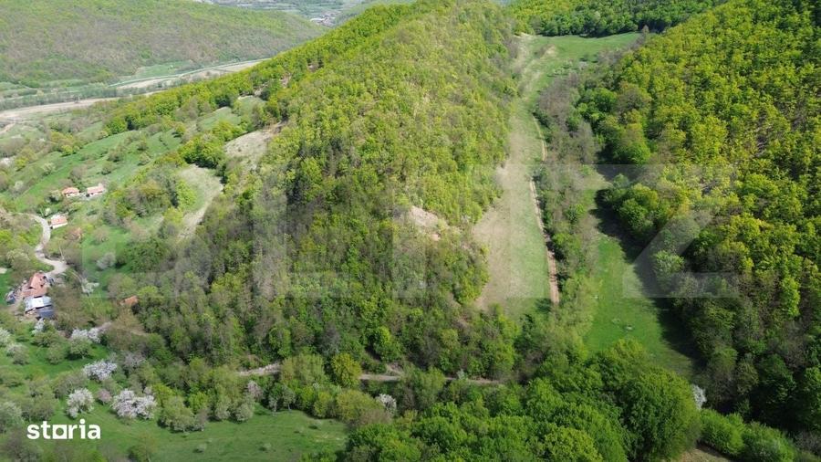 Spațiu comercial, în Pădure