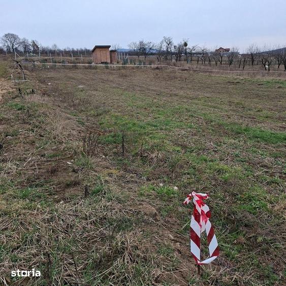 Vand teren intravilan 710 mp, ideal pentru casa, in AGHIRES jud. Salaj - 2