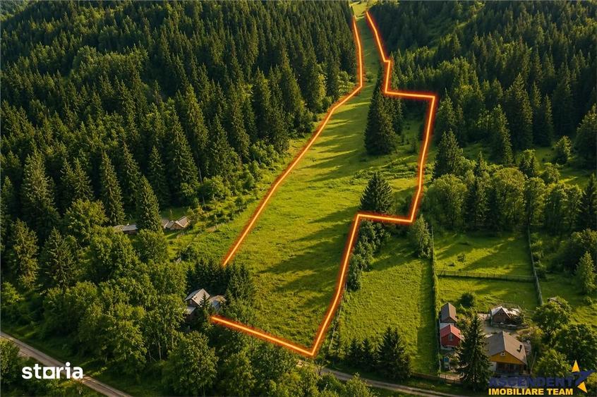 Teren de 7800 mp, în Lunca