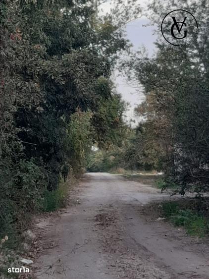 Teren de 5526 mp, în Sud