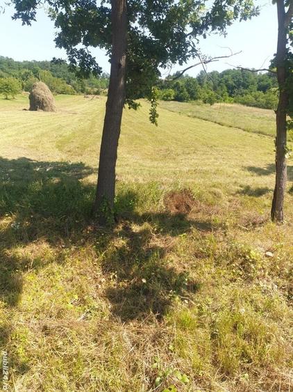 Teren agricol, construc?ii. - 2