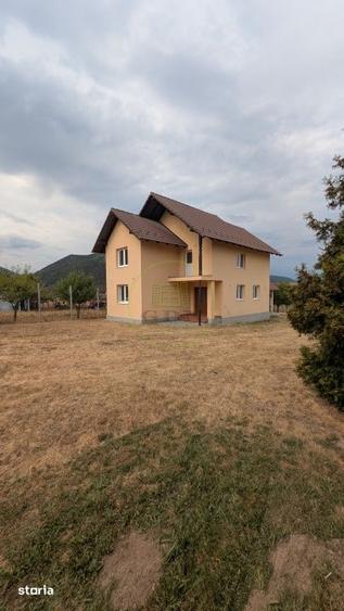 Casă cu 5 camere cu Teren 3046 Mp în Gura Râului