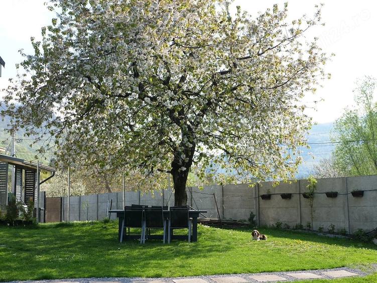 Casă cu 5 camere cu Teren 780 Mp în Râu de Mori