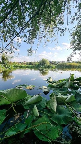 Vand Vila cu deschidere la Lacul Snagov