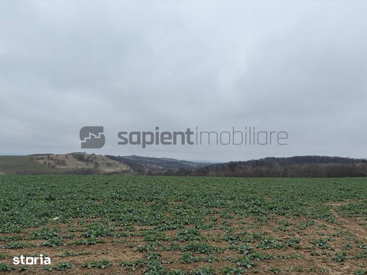 Teren de 39 mp, în Hidiș