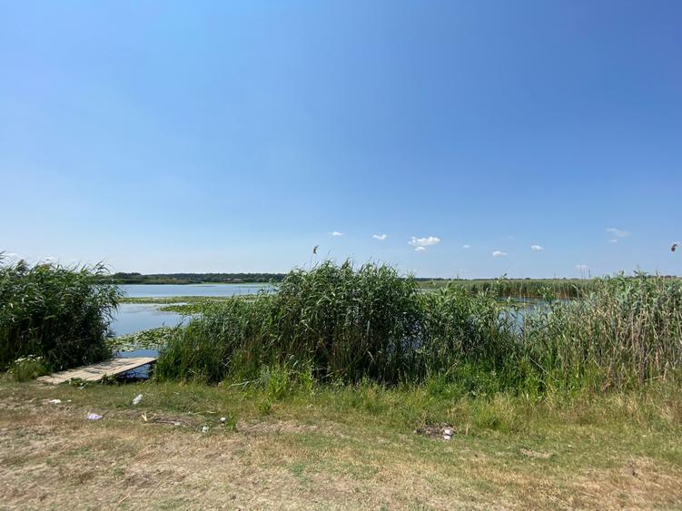 Teren Construcții intravilan de 5000 mp, în Siliștea Snagovului