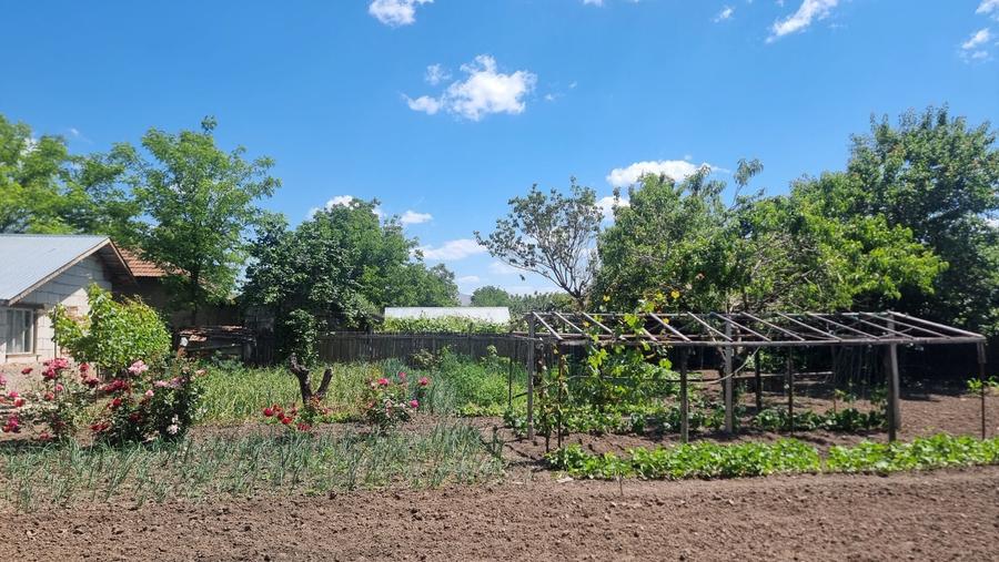 Casa de vanzare Chirnogi - (Oltenita) - 14