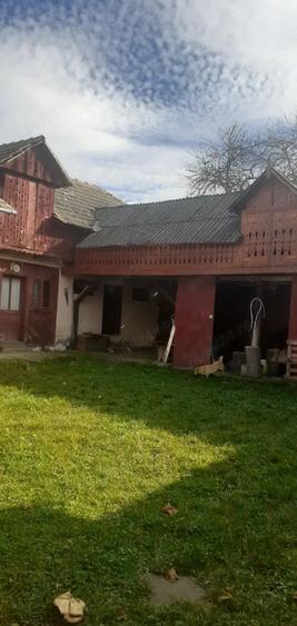 Casa cu curte mare ?i vie pe spalieri - 7