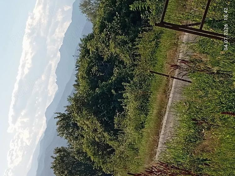 Teren intravilan 1.000mp+Cabana Noua+Asfalt+Utilitati,Panorama Superba spre Mun?i,altitudine,Daesti - 3
