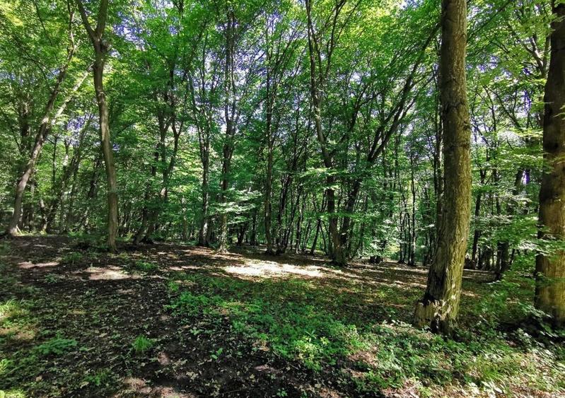 Teren Construcții intravilan de 17243 mp, în Grigorescu