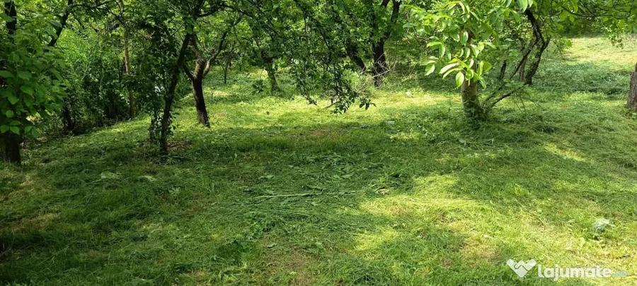 Vand teren intravilan cu toate utilita?ile - 3