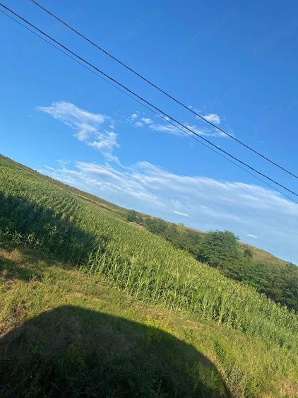 Teren de 5000 mp, în Central