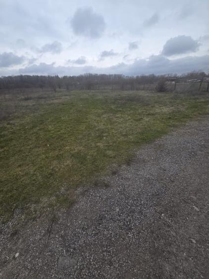 Teren Construcții intravilan de 746 mp, în Băneasa