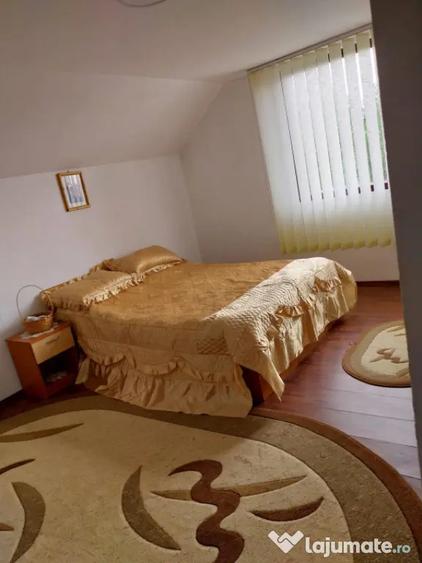 Vila 7 camere, 200 mp, zona Maneciu Pamanteni - 13