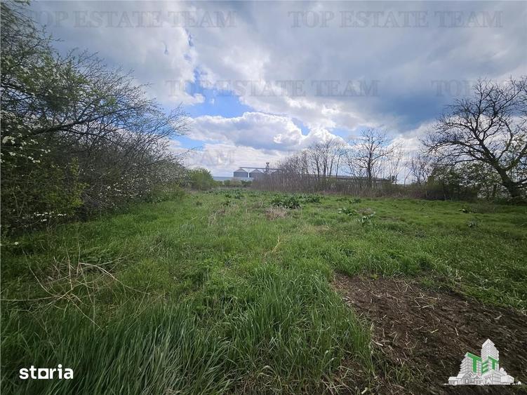 Teren de 3846 mp, în Topraisar