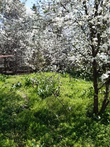 Casă cu 2 camere cu Teren 1200 Mp în Fundeni
