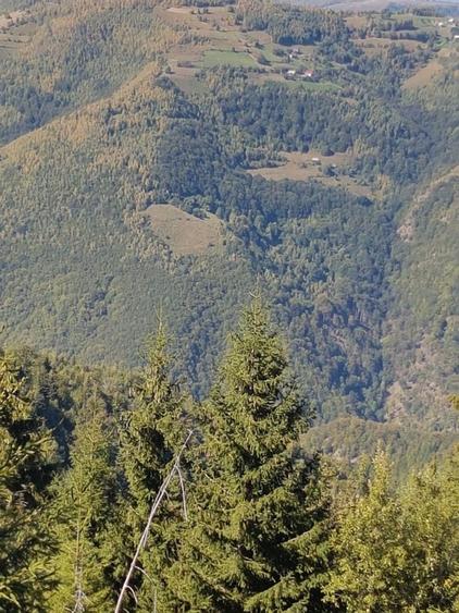 Vand Teren-Padure - 4