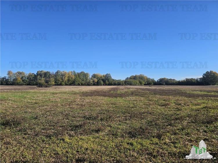 Teren agricol intravilan de 10000 mp, în Dârvari