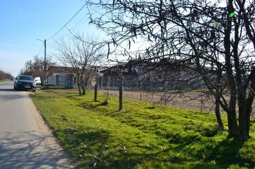 Teren intravilan de 5600 mp, în Mircea Vodă