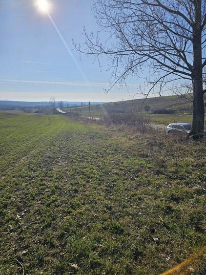 Teren agricol intravilan de 1500 mp, în Cetariu