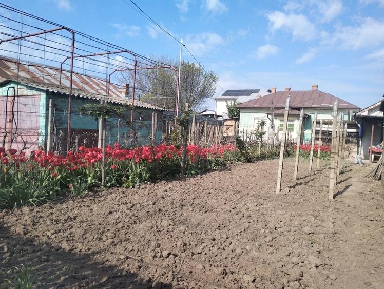 Casă cu Teren 800 Mp în Central