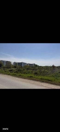 Spațiu comercial, în Sud