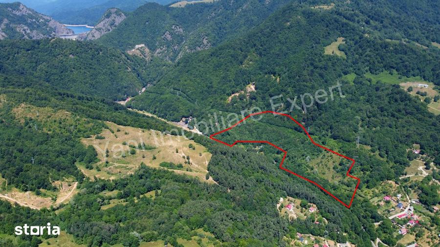 Teren de vanzare pe Transfagara?an ( 75.200 mp ) - 10
