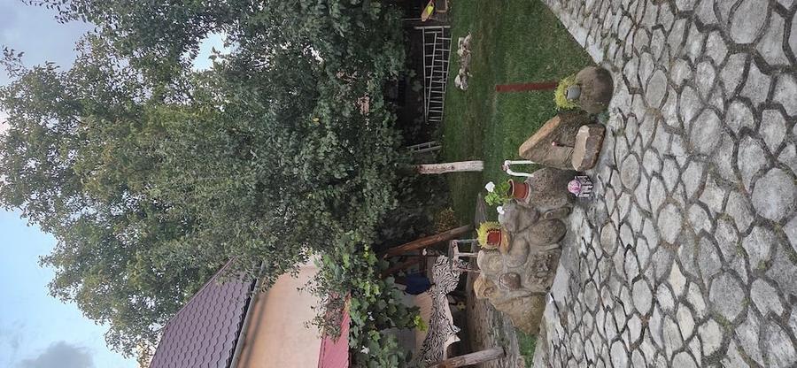 Casă cu 5 camere cu Teren 500 Mp în Central