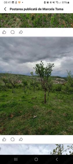 Teren de 5800 mp, în Central