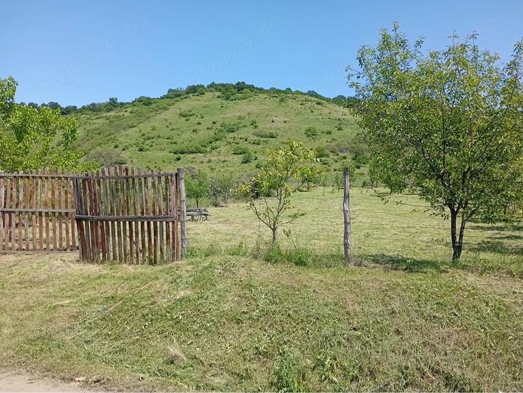Teren de 12000 mp, în Central